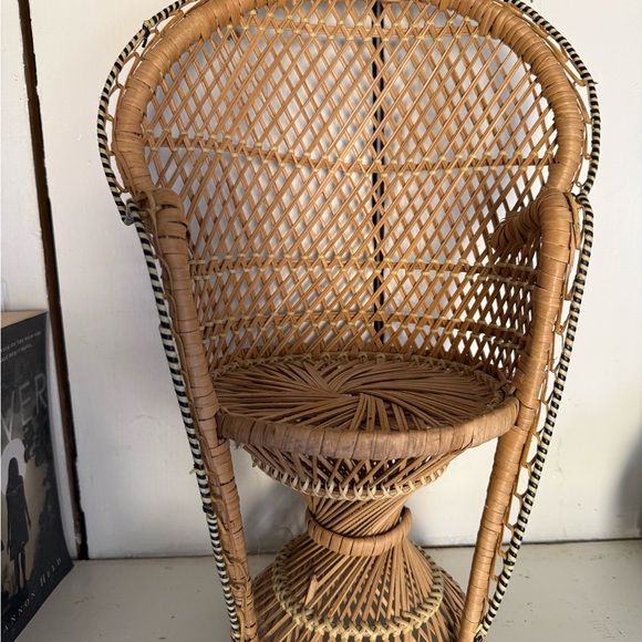 Other - Wicker Peacock Chair